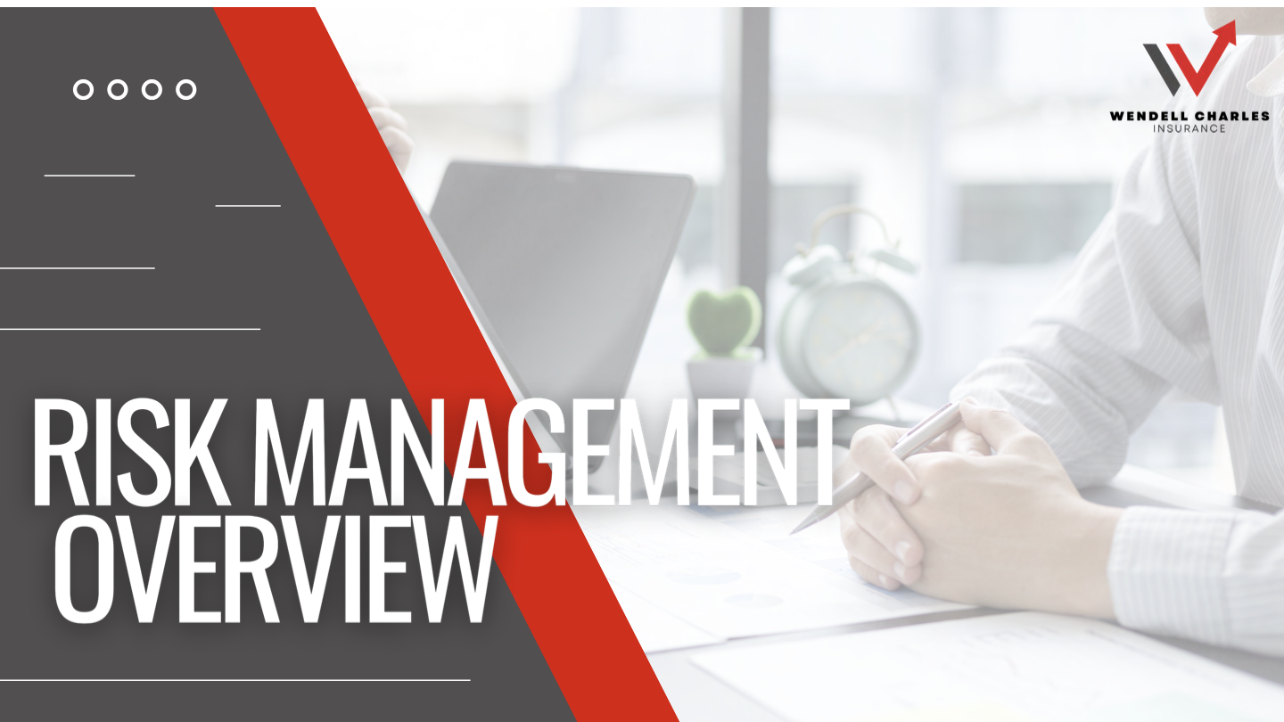 Risk Management Overview cover